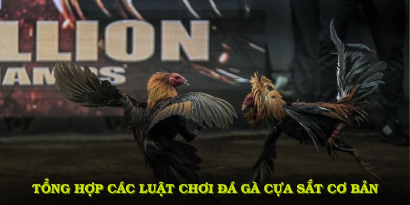 Tổng hợp các luật chơi đá gà cựa sắt cơ bản